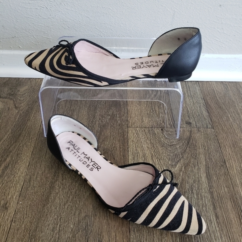 Paul Mayer Attitudes Flats